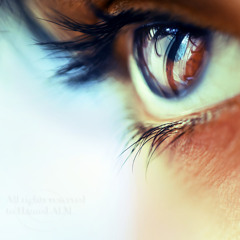 يوم تجثو كل أمة