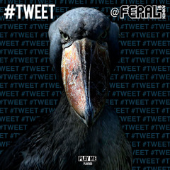 FERAL is KINKY - #TWEET (Backdraft Remix)