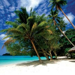 island Reggae