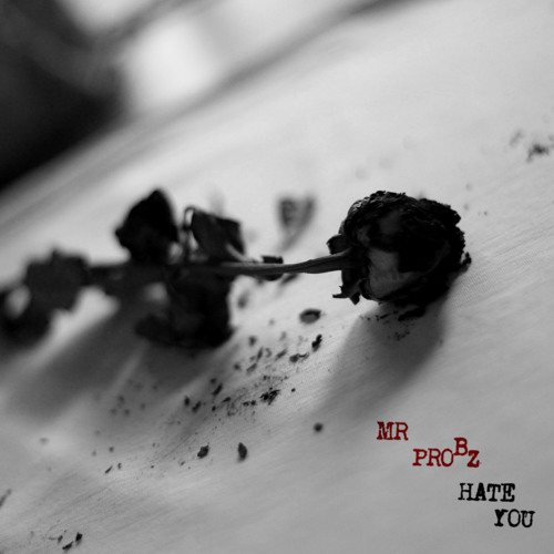 Mr. Probz - Hate You (Prod. by Beat Butcha)