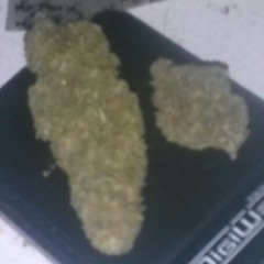 Stoned 420