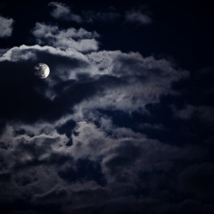 Fennessy - Chigau Mix May 2013