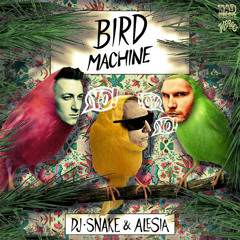 DJ Snake X Durante - Bird Machine (100-124 Nick Magic tranny)