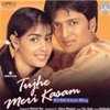 Tujhe Meri Kasam Thodi Si Deewani Mp3