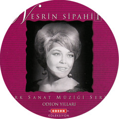Avuçlarımda Hala Sıcaklığın Var - Nesrin Sipahi