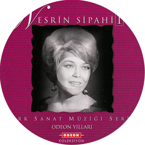 Avuçlarımda Hala Sıcaklığın Var - Nesrin Sipahi