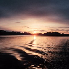 Shane Collins -  A Progressive Journey VI (APJ #6)