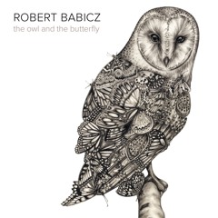 Robert Babicz - the owl and the butterfly (album preview 128k)