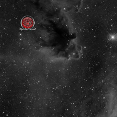 Bassbinvisual - The Space Traveler Set Vol.2