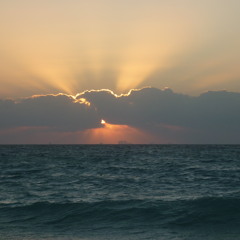 Andrea L - Coccoloco