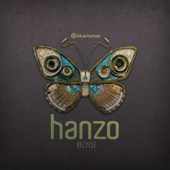 HANZO.FOLLOW ME - SYNESTHETIC RMX - RECYCLE EP - BLUE TUNES RECORDS
