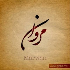 Tamer-Ashour Hat3adi