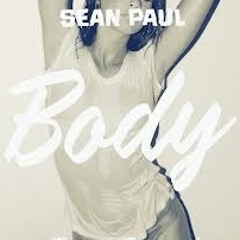 Sean poul - body (Hidden Remix)