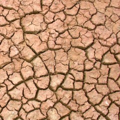 Julio, Sal y Mileto, Disco Tres, 2003