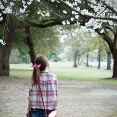 Will (365) - Nếu Như Không Thể Nói Nếu Như
