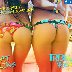 DJ Chus pres. The Groove Foundation - That Feeling (Tribalero 2013 Remode)
