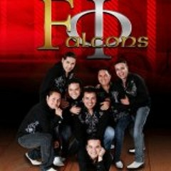 PRESENTACION LOS FALCONS