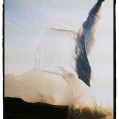 Driftwood