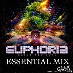 The Road Home - Euphoria Essential Mix