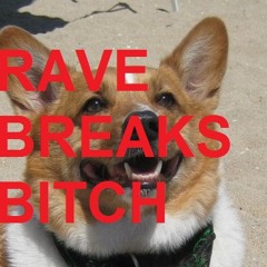 Summer Basslines 2013 Volume One (RAVEbreaks Minimix)