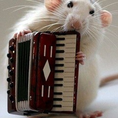 SpK aka DonKey MidLow - many stylez