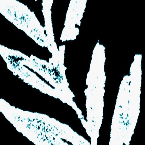 Lotus - Orchids - (The Album Leaf Remix)