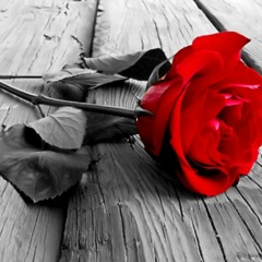 It Just Feels So Right..