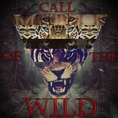 Call of the Wild (feat. OneLoveTheo & Daley) (Prod. By Frontier)