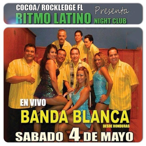 banda blanca top