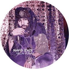 Navid Izadi - Hard To Find feat. Jesse Rennix