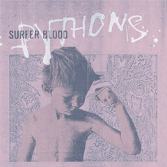 Surfer Blood - Gravity