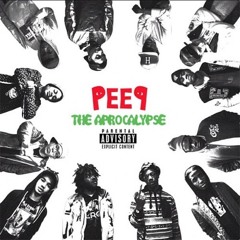Like Water Pro Era Capital STEEZ Ft. JOEY BADA$$