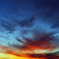 You Don't Need Wings to Fly