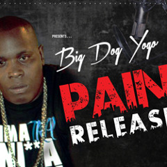 BIG DOG YOGO FT DARKS - WE MOVE