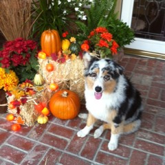 †Ɍ∆Ƥ ṂƱȘİ₡