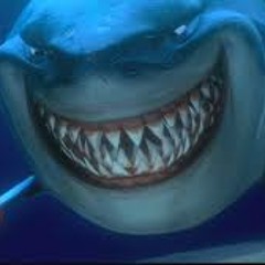 Marko$$ - Shark attack