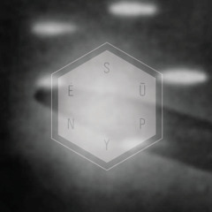 S13 - Between metaphysics of randomness and determinism - Special for Supynes Festival 2013 //02