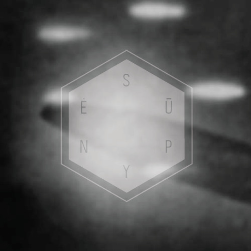 S13 - Between metaphysics of randomness and determinism - Special for Supynes Festival 2013 //02