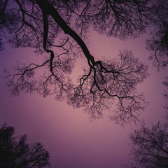 SNICKY B - Dream Land ft. Gala Ga, El Toro