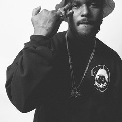 ScHoolboy Q - She Like
