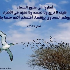 ماشي في البريه