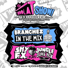 Branchez Mix: The Toddla T Show BBC Radio 1 & 1Xtra