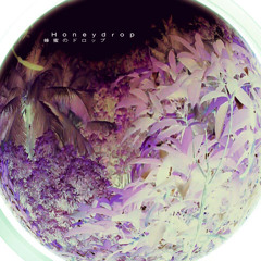 Honeydrop - The Place (Demo)