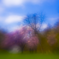 Download Free Track - Oliver Lieb - Springtime