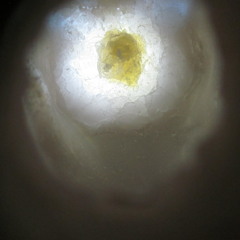 Isadora Fabian - Glue