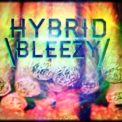 Hybrid - Bleezy