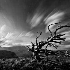 throwing caution to the wind