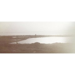 DIIV \\ Sometime (Live Version) // Cover