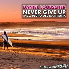 Daniel Loubscher - Never Give Up (Original Mix)