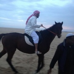 الشوارع.سعد علوش